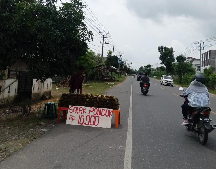 Pedagang buah-buahan yang Menjamur di Pinggir Jalan Nasional Lintas Sumatera, mulai dari Perbatasan Kota Lhokseumawe dengan Aceh Utara
