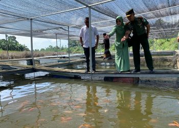 Komandan Kodim 0103/Aceh Utara Letkol Inf Hendrasari Nurhono S.I.P., M.I.P., bersama ketua persit KCK Cab XX Dim 0103, beserta Rombongan meninjau lokasi lahan Keramba Ikan Apung