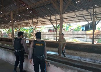Operasi (OPS) Aman Nusa II Menumbing 2022 Polres Bangka Barat Penanganan PMK (Penyakit Mulut dan Kuku) Polres Bangka Barat melaksanakan kegiatan pengecekan hewan ternak milik warga