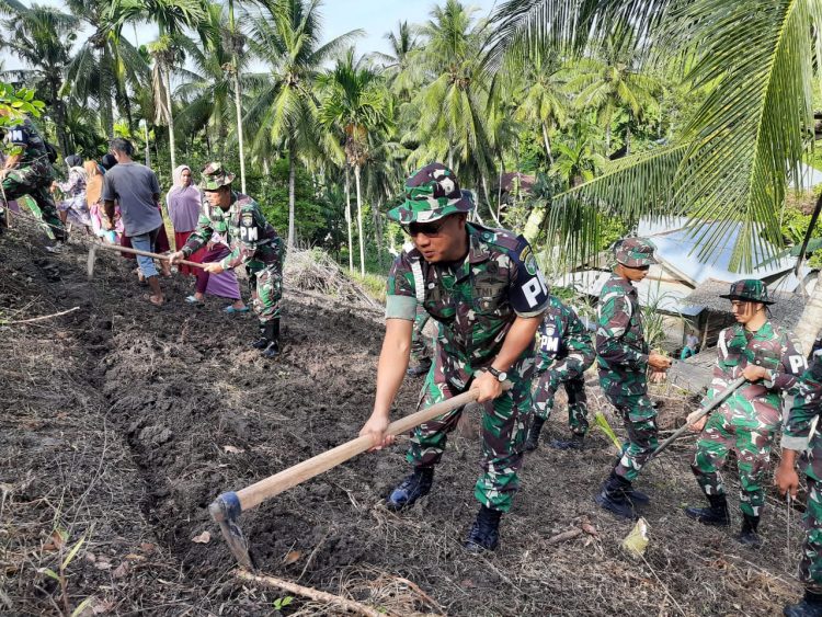 Personel Denpom IM/1 Lhokseumawe di bantu masyarakat telah melaksanakan kegiatan Pembersihan Lahan penanaman bibit jagung manis