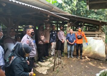 Satuan Binmas Polres Ciamis Polda Jabar rutin melakukan pemantauan hewan ternak warga di Kabupaten Ciamis