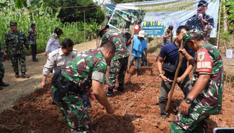 wilayah Kodam III/Siliwangi melaksanakan penanaman jagung dalam rangka mendukung ketahanan pangan nasional