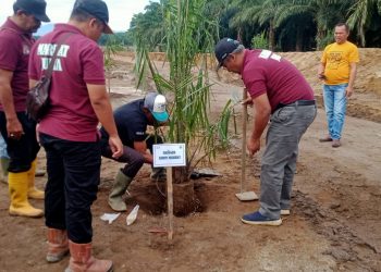 Penanaman perdana PTPN Unit Kebun Marihat
