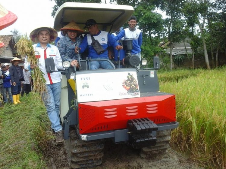 acara Panen Raya sawah IP 200 di Desa Tugu Agung, Kecamatan Lempuing