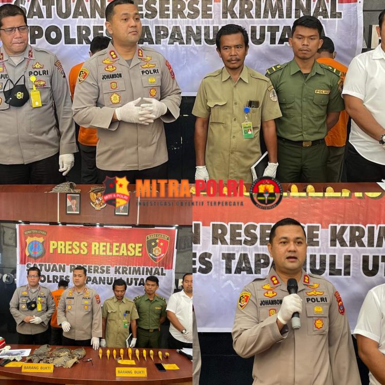 Sat Reskrim Polres Taput mengamankan dua pelaku jual beli satwa dilindungi berupa sisik trenggiling dan paruh burung rangkong