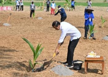 Presiden RI saat meninjau dan menanam bersama kelapa genjah dengan petani di Desa Giriroto, Kabupaten Boyolali, Provinsi Jawa Tengah