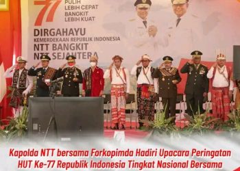Kapolda NTT Irjen Pol. Drs. Setyo Budiyanto, S.H., M.H., mengikuti upacara Bendera Peringatan Hari Ulang Tahun Kemerdekaan Republik Indonesia (RI) ke-77 tingkat Provinsi NTT di Alun-alun Rumah Jabatan Gubernur NTT