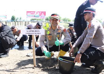 Polres Lhokseumawe bersama unsur Muspida Plus Kota Lhokseumawe melakukan penanaman pohon serentak sebanyak 3500 pohon magrove di lokasi wisata Pantai Rancong