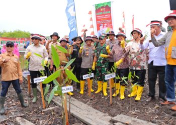 Polres Aceh Tamiang Bersama unsur Forkopimda Aceh Tamiang melakukan penanaman 77 ribu batang pohon mangrove di pesisir pantai Pulo Rukoy