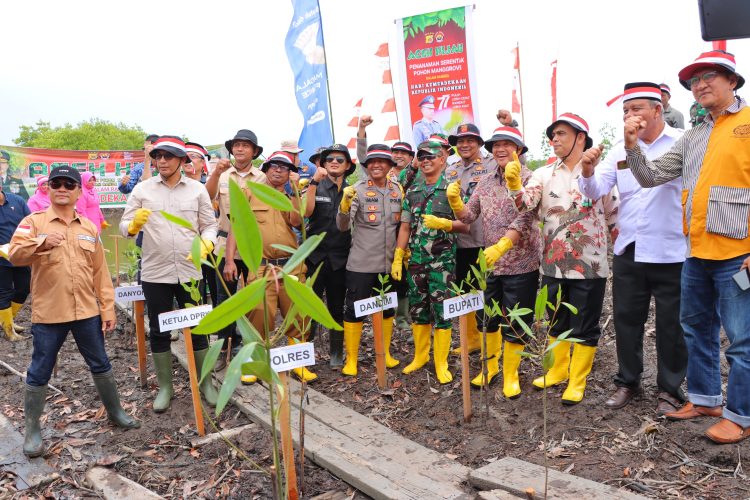 Polres Aceh Tamiang Bersama unsur Forkopimda Aceh Tamiang melakukan penanaman 77 ribu batang pohon mangrove di pesisir pantai Pulo Rukoy