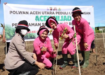 Polres Aceh Utara Menyelenggarakan Gerakan Aceh Hijau yang merupakan rangkaian kegiatan dari Penanaman serentak 77000 pohon mangrove, Pinus, Ketapang dll