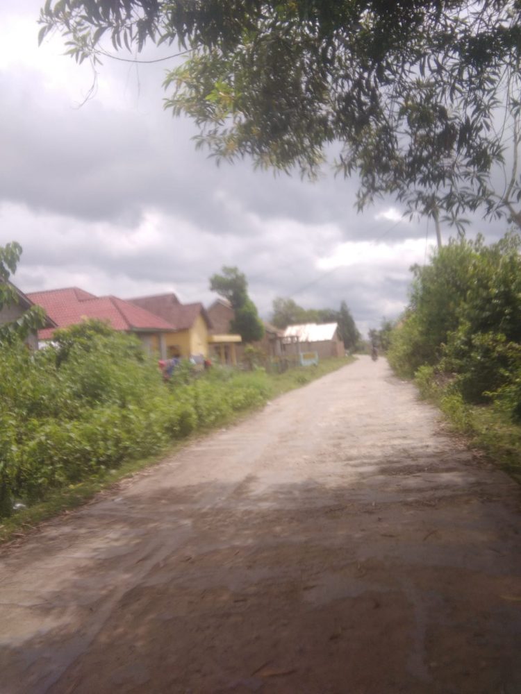 Masyarakat Desa Pedamaran V kecamatan Pedamaran Kabupaten Ogan Komering Ilir sangat kecewa pasalnya Peningkatan jalan didesa tersebut yang pengerjaannya Tahun 2020 dengan mempergunakan APBD OKI sudah mengalami kerusakan