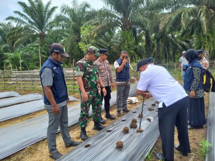 Kapolsek Peureulak Barat Ipda Dede Moerdhany, S.H. bersama Forkopimcam mengajak masyarakat untuk meningkatkan ketahanan pangan di era inflasi