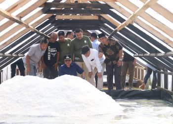 Panen perdana industri garam rakyat di Gampong Bantayan Kecamatan Seunuddon