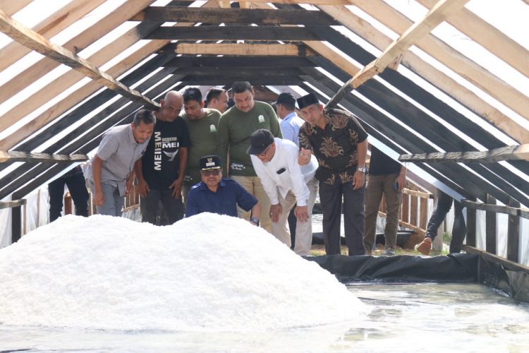 Panen perdana industri garam rakyat di Gampong Bantayan Kecamatan Seunuddon