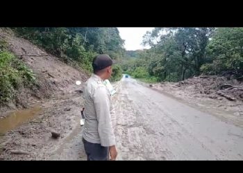 Personil Polsek Sumbul menjelaskan bahwa situasi terakhir di jalan lintas Medan - Sidikalang tepatnya di Lae Pondom