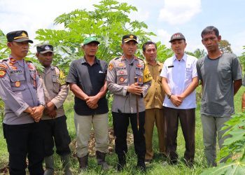 Kapolres Aceh Tamiang AKBP Imam Asfali, S.I.K, meninjau langsung lahan ketahanan pangan milik kelompok Tani Bina Usaha yang di bina oleh Bhabinkamtibmas Polsek Karang Baru Bripka M. Heri