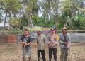 Personel Polsek Muara Batu melakukan monitoring terhadap lahan ketahanan pangan binaan di Gampong Tumpok Beurandang
