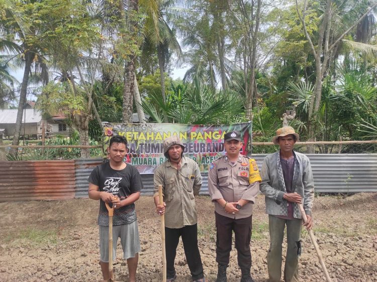 Personel Polsek Muara Batu melakukan monitoring terhadap lahan ketahanan pangan binaan di Gampong Tumpok Beurandang