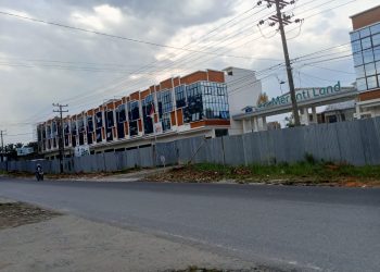 Pohon Mahoni di depan perumahan mewah Meranti Land ditebangi oleh orang tak dikenal
