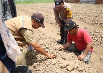 Sat Binmas Polres Lhokseumawe tinjau pembukaan lahan pertanian cabe merah milik warga di Gampong Tumpok Beurandang, Kecamatan Muara Batu