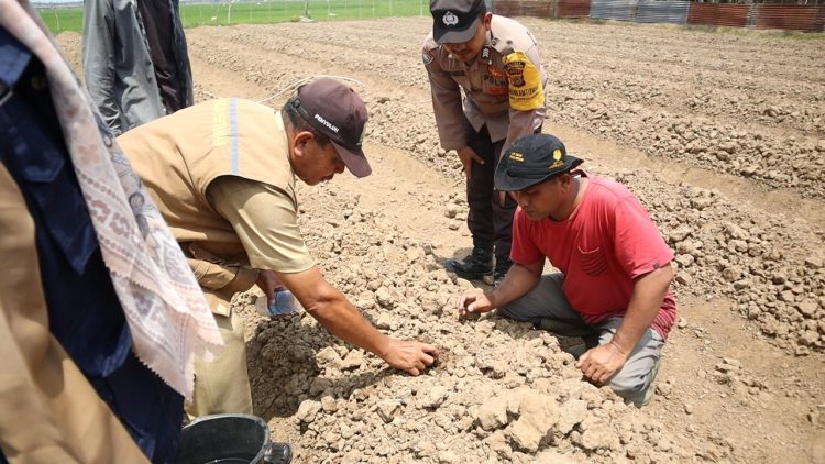 Sat Binmas Polres Lhokseumawe tinjau pembukaan lahan pertanian cabe merah milik warga di Gampong Tumpok Beurandang, Kecamatan Muara Batu