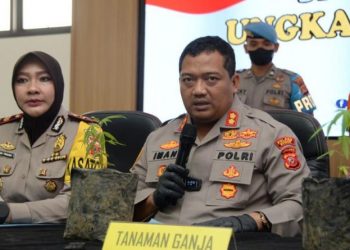Pengungkapan terhadap para pelaku penyalahgunaan narkotika jenis ganja kembali di ungkapkan Jajaran Sat Narkoba Polres Bogor