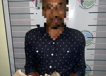 Satres Narkoba kembali mengamankan pengedar ganja kering di Desa Arongan Kecamatan Kuala Pesisir