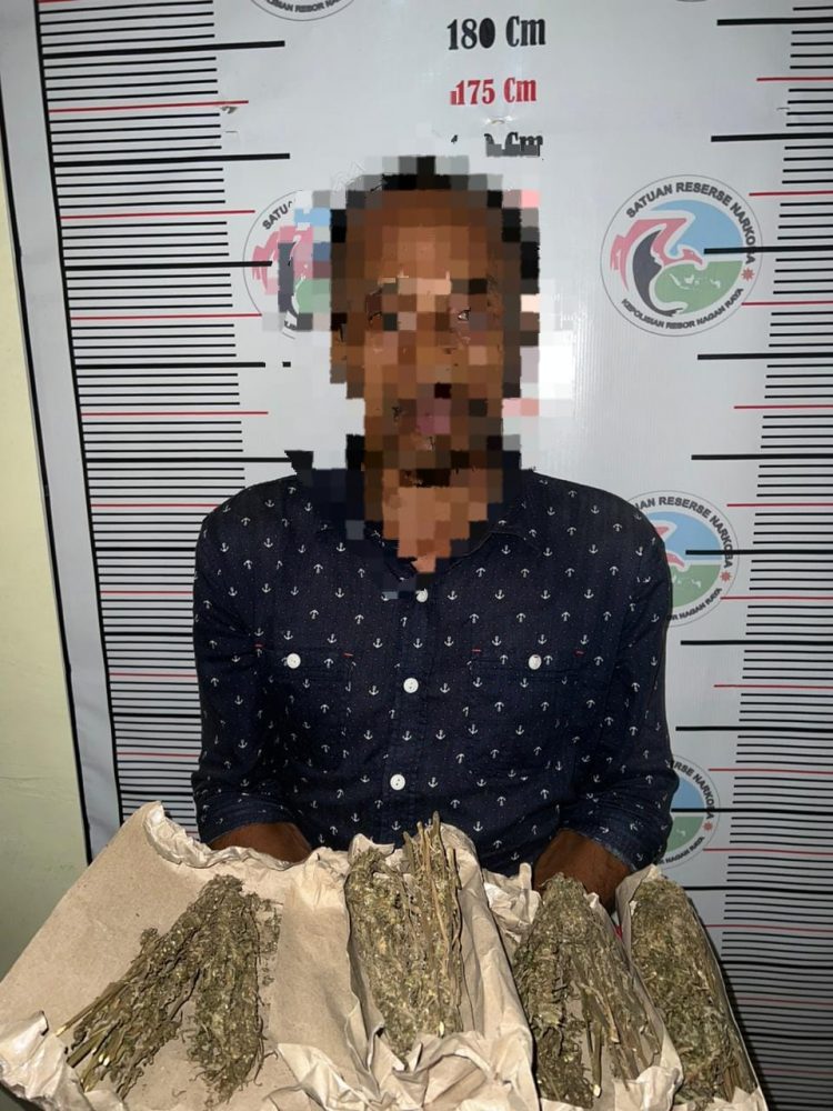 Satres Narkoba kembali mengamankan pengedar ganja kering di Desa Arongan Kecamatan Kuala Pesisir