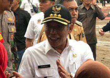 Bupati Ogan Komering Ilir H. Iskandar, SE