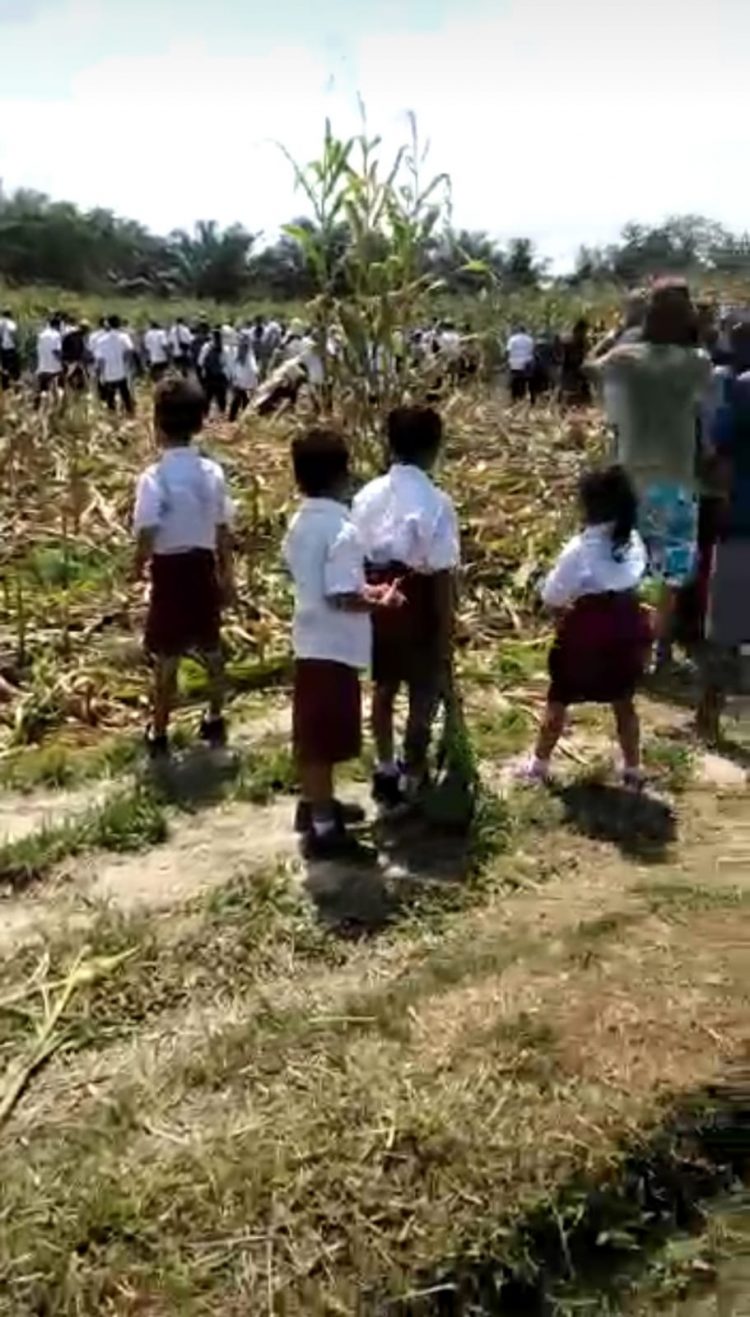 Penggarap Lahan PTPN IV Bah Jambi yang melibatkan anak dibawah umur melawan pihak Kebun
