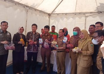 Pasar Digital Pemko Palembang