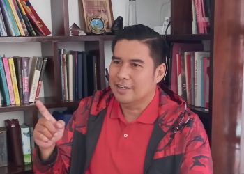 Paulus Sinulingga Sekretaris PDI Perjuangan Jakarta Pusat