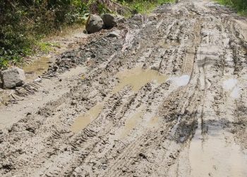 Kondisi jalan berlumpur dan berkubang saat musim hujan melanda desa Alue Rimei Kecamatan Pirak Timur berbatasan dengan Desa Buket Pidie Kecamatan Paya Bakong