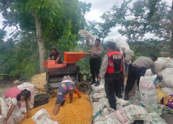 Kasat Samapta Polres Dairi AKP Tugono, SH bersama Personil melakukan kegiatan dengan Membantu masyarakat menggiling jagung dalam rangka upaya menciptakan hubungan yang baik antar Polri dan masyarakat