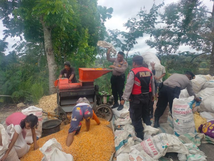 Kasat Samapta Polres Dairi AKP Tugono, SH bersama Personil melakukan kegiatan dengan Membantu masyarakat menggiling jagung dalam rangka upaya menciptakan hubungan yang baik antar Polri dan masyarakat