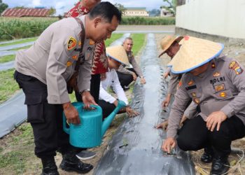 Polres Dairi melaksanakan Penanaman Cabai Merah, Rabu 19-10-2022. pukul 14.00 wib