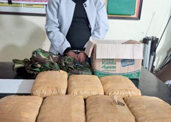 Sat Narkoba Polres Dairi berhasil menangkap seorang pria yang mengedarkan narkotika jenis Ganja di Desa Lau Tawar Kecamatan Tanah Pinem
