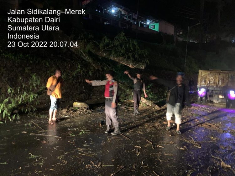 Kasat Samapta Polres Dairi AKP Tugono, SH Personil Sat Samapta Polres Dairi melaksanakan Pengaturan Kegiatan Pengaturan dan Pengendalian Arus Lalu Lintas pada lokasi terjadinya Pohon Tumbang