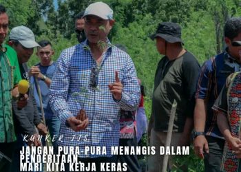 Penanaman pohon Lamtoro Teramba di Besipae, Kamis (27/10/2022).