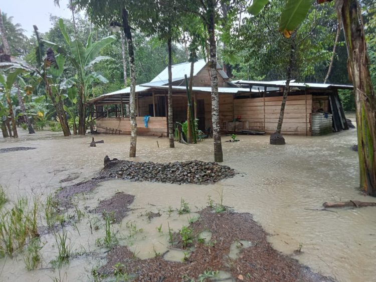 Lokasi banjir Dusun 3 Hiligambukha Desa
Hilisoromi Kecamatan Moroo Kabupaten Nias Barat, rumah Ama Suari Gulo