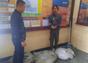 Seorang warga Kampung Bale Atu Kecamatan Bukit yang berinisial S (25) digelandang ke kantor Polisi lantaran tertangkap warga hendak mencuri kopi labu