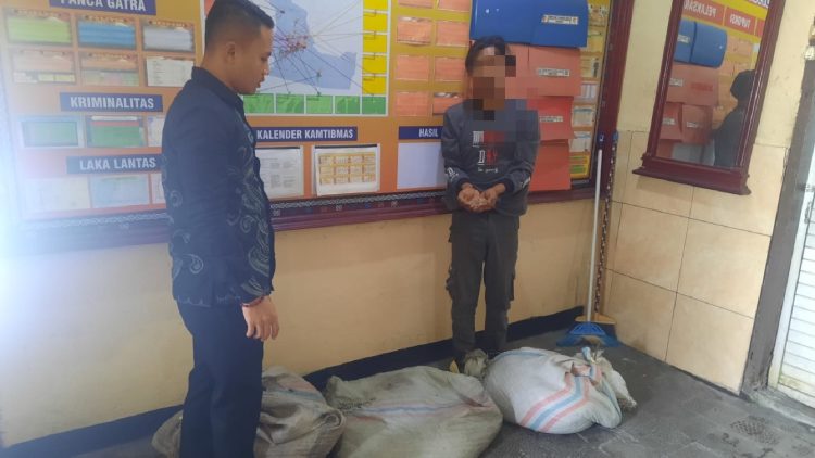 Seorang warga Kampung Bale Atu Kecamatan Bukit yang berinisial S (25) digelandang ke kantor Polisi lantaran tertangkap warga hendak mencuri kopi labu