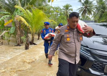 Kapolres Bireuen AKPB Mike Hardy Wirapraja, S.I.K., M.H., meninjau Langsung Situasi Banjir di Desa Leubu Mesjid Kecamatan Makmur