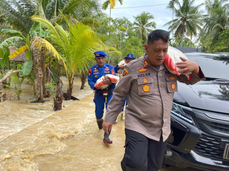 Kapolres Bireuen AKPB Mike Hardy Wirapraja, S.I.K., M.H., meninjau Langsung Situasi Banjir di Desa Leubu Mesjid Kecamatan Makmur