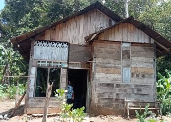 Salah satu rumah tidak layak huni seorang janda di Pekon Tanjung Kurung kecamatan Wonosobo kabupaten Tanggamus