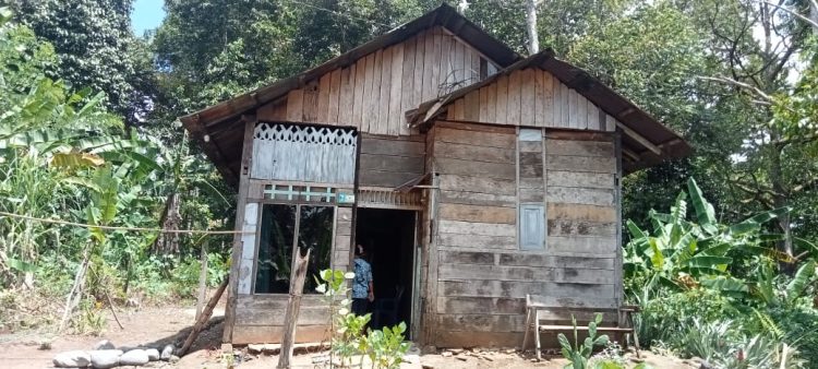 Salah satu rumah tidak layak huni seorang janda di Pekon Tanjung Kurung kecamatan Wonosobo kabupaten Tanggamus