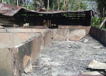 Salah satu rumah warga Dusun III (tiga) Desa Hayo, Kecamatan Mandrehe, Kabupaten Nias Barat Ama Andi Gulo, Hangus terbakar dilalap sijago merah sekitar pukul 00.30 Wib