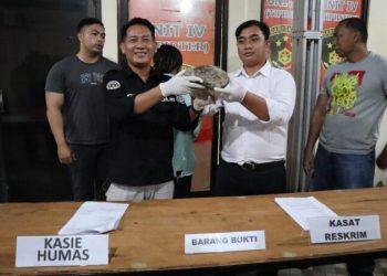 Tim Charlie ROTR (Resmob On The Road Polresta Manado) mengamankan pelaku Penganiayaan yang mengakibatkan korban meninggal di kompleks Pasar Bersehati