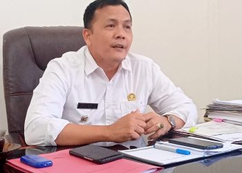 Camat Kecamatan Seunagan Nagan Raya, Saiful Bahri, SH